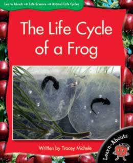 Cover Art for The Life Cycle of a Frog